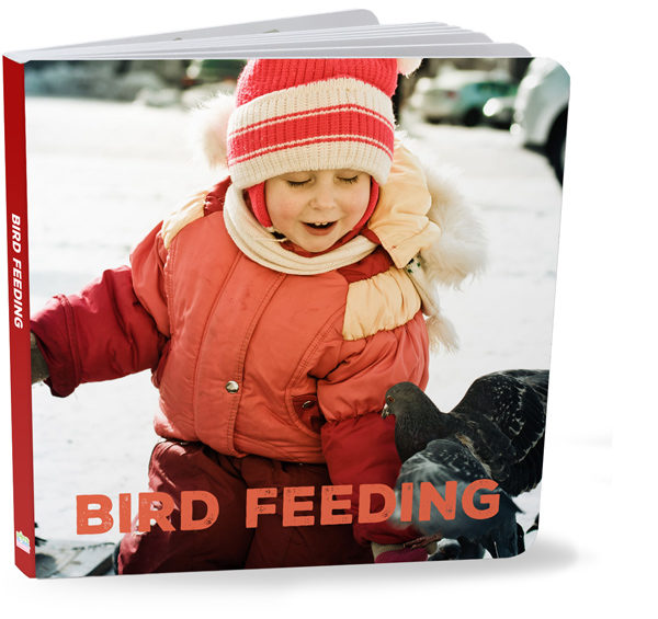 Bird Feeding Board Book